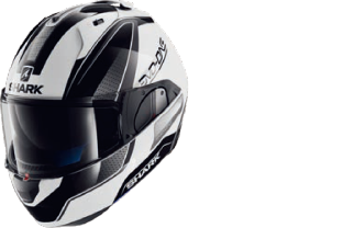 2016 EVO-ONE