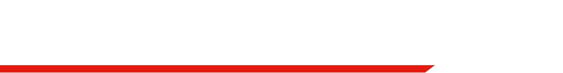RACE-R PRO GP FIM RACING #1 レースアールプロ ジーピー エフアイエム レーシング #1